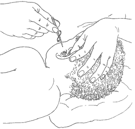 The child can also rest their head on a pillow to make it easier for the carer and to be more comfortable.