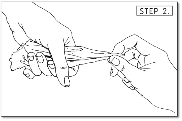 Hold one end of the tissue and with the other hand, twist the corner.