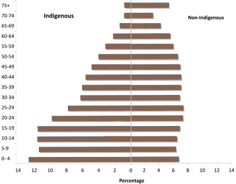 Indigenous and non-Indigenous male populations, by age group, June 2010