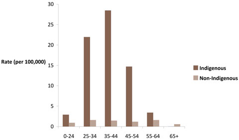 Male death rates from assault, by Indigenous status and age group, Australia, 2001-2005