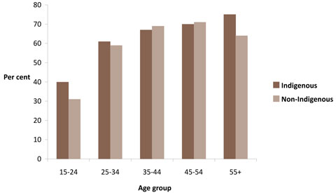 Percentages of overweight and obese males, by Indigenous status and age group, Australia, 2004-2005