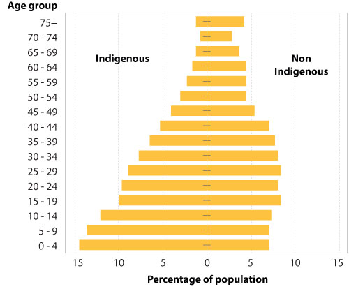 Population pyramid of indigenous and non-indigenous populations, 2010