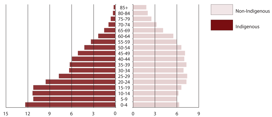 Population pyramid of indigenous and non-indigenous populations, 2011