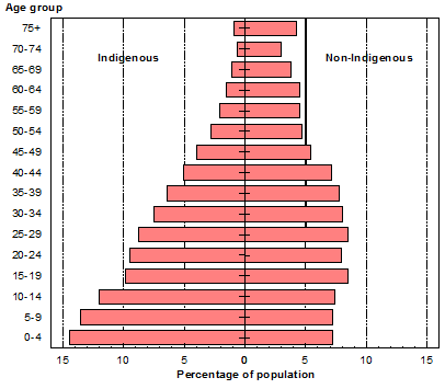 Population pyramid of indigenous and non-indigenous populations, 2006